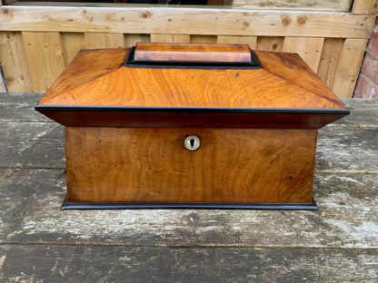 19th-Century Walnut & Ebonised Sarcophagus Tea Caddy
