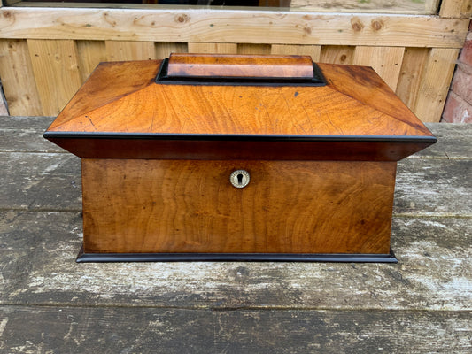 19th-Century Walnut & Ebonised Sarcophagus Tea Caddy