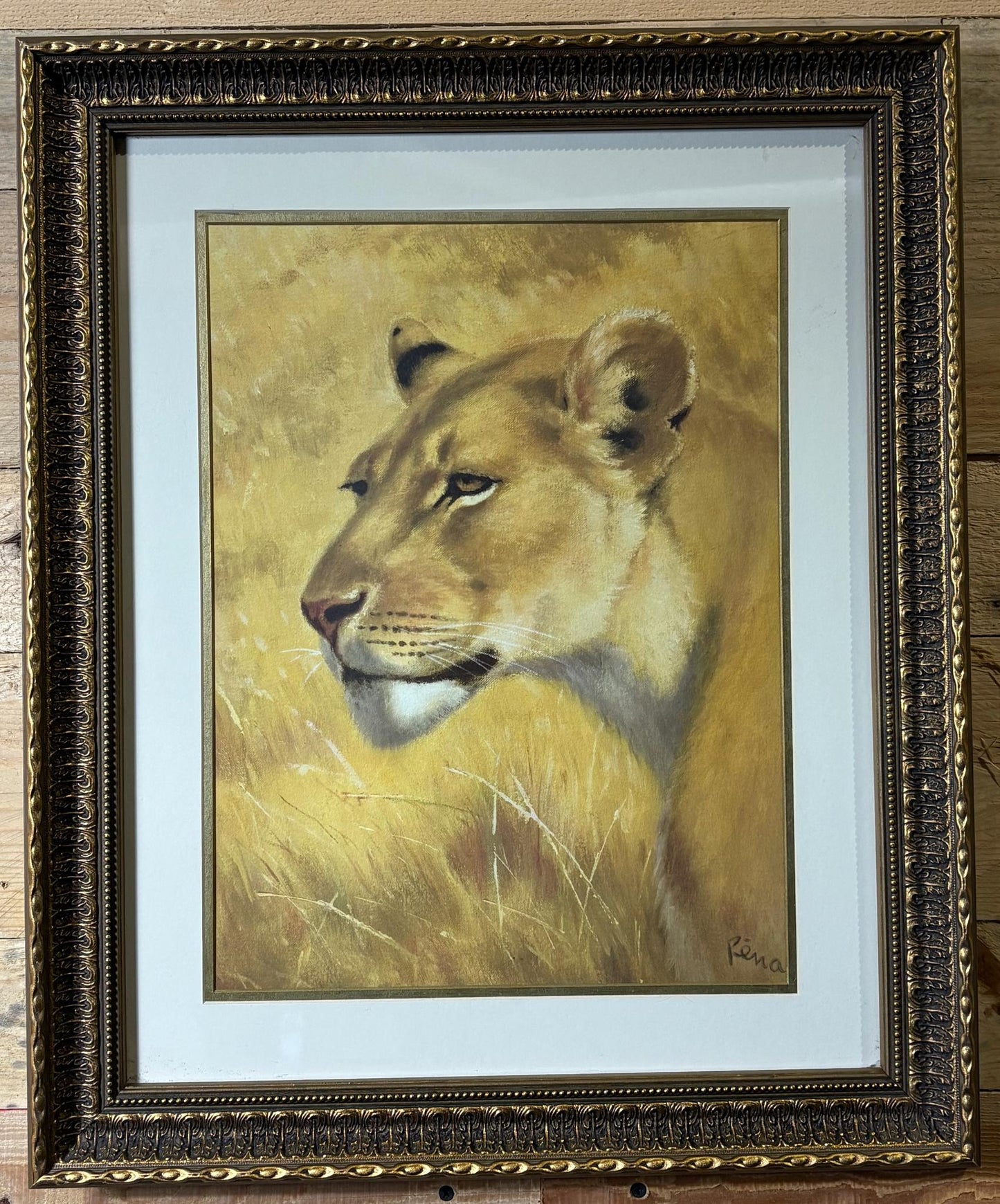 “Lioness” by Rena Fennessy - Print